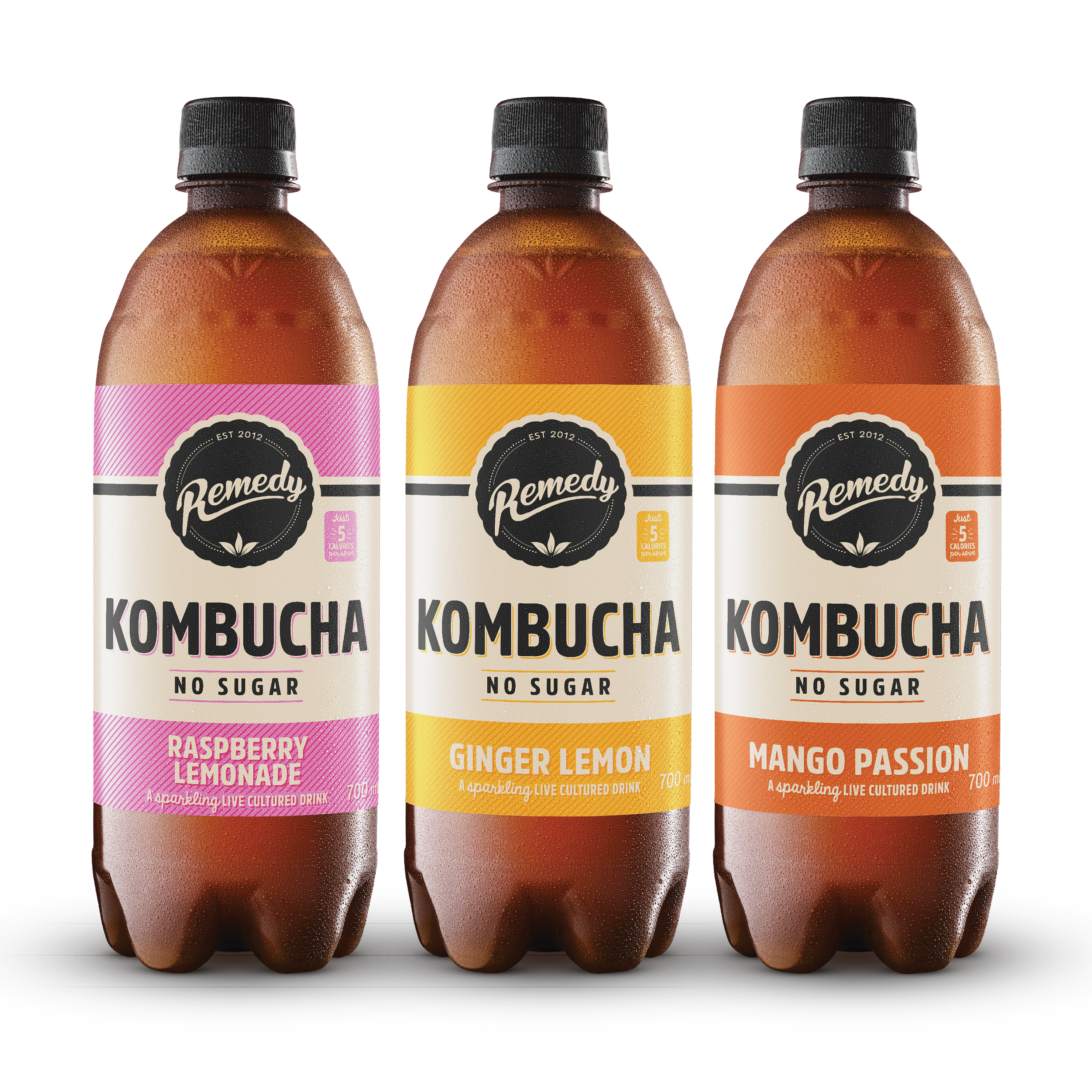 Mixed Pack | No Sugar Drink | Remedy Kombucha – Remedy Drinks | No