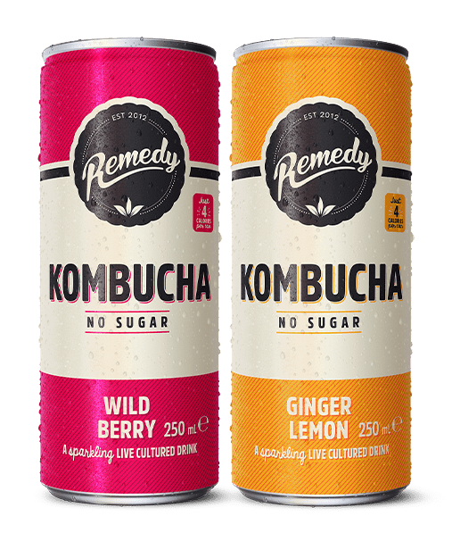 Remedy Kombucha Wild Berry and Ginger Lemon cans