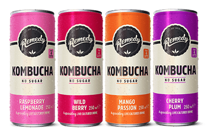 Remedy Kombucha 4 Flavour Mixed 48 Pack